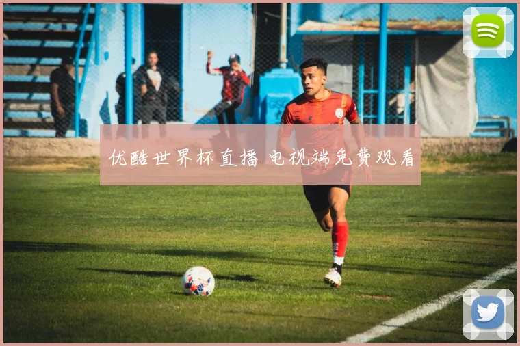 优酷世界杯直播 电视端免费观看