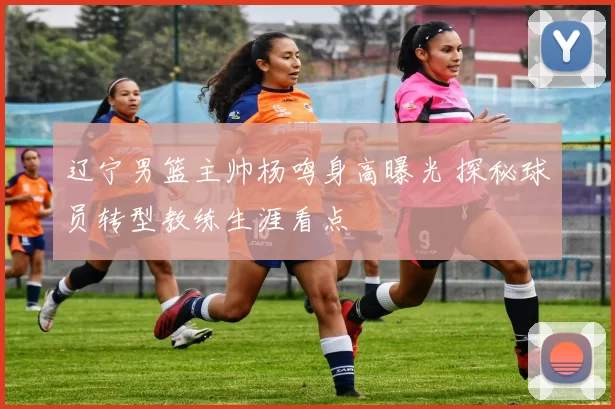 辽宁男篮主帅杨鸣身高曝光 探秘球员转型教练生涯看点