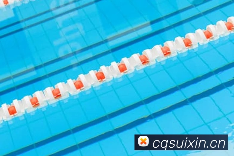 乐鱼网页版在线登录 - leyu(中国)平台生态图