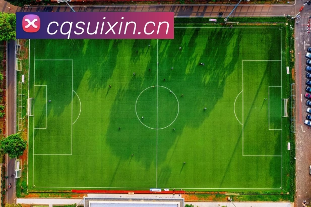 乐鱼网页版在线登录 - leyu(中国)全站App